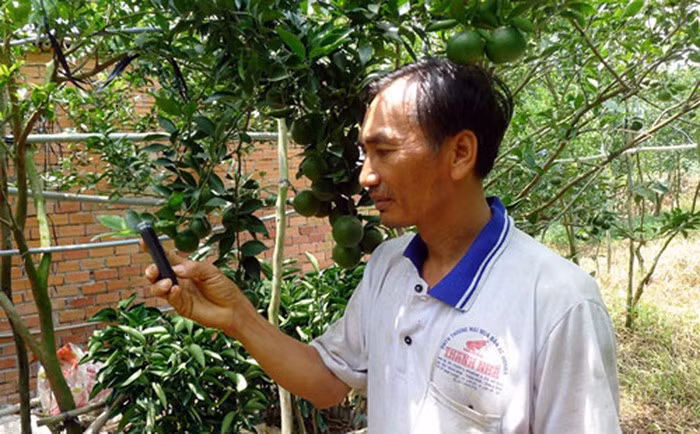 Tưới rau chỉ bằng nút nhấn điện thoại của nông dân thời 4.0. (ảnh internet)