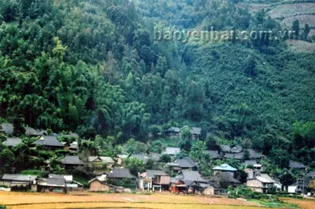 Bản Thái ở trung tâm huyện Mù Cang Chải với những ngôi nhà sàn truyền thống rất thích hợp cho du lịch cộng đồng. (Nguồn: baoyenbai)