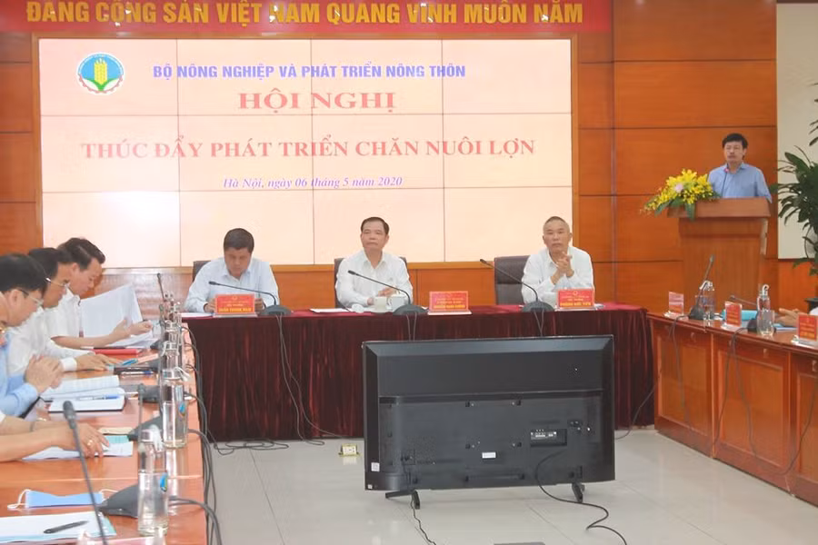  Toàn cảnh Hội nghị thúc đẩy phát triển chăn nuôi lợn diễn ra sáng 6/5 tại Hà Nội