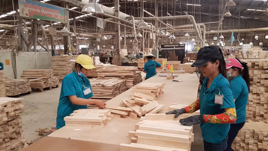 Từ quý 3.2020, xuất khẩu gỗ sẽ khởi sắc. Ảnh: Khánh Vũ