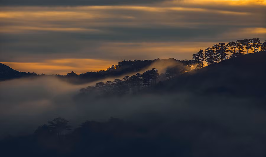 Bình minh lên sau những đồi thông ở đồi cỏ hồng Ankroet. Đi xa hơn về phía hồ Suối Vàng là đồi cỏ hồng Ankroet. Nếu du khách đi vào dịp tháng 11-12 hằng năm còn có thể ngắm cỏ hồng khoe sắc khắp cả thung lũng. Cỏ hồng thực chất có màu tím nhạt nhưng sáng sớm có sương đọng trên ngọn cỏ được khúc xạ bởi nắng sớm làm màu của loài cỏ này dường như ánh hồng. Đồi Thiên Phúc Đức nằm ở phía bắc thành phố, cũng cách không xa đồi Đa Phú. Trên đỉnh đồi tầm nhìn bao quát cả tứ phía. Du khách có thể để xe ở dưới chân đồi và chỉ mất 10 phút để lên đỉnh đồi.
