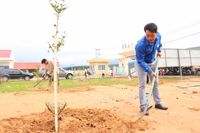 Anh A Xây, Phó bí thư tỉnh đoàn Kon Tum trồng cây tại Trường tiểu học Đăk Long ẢNH: ĐỨC NHẬT