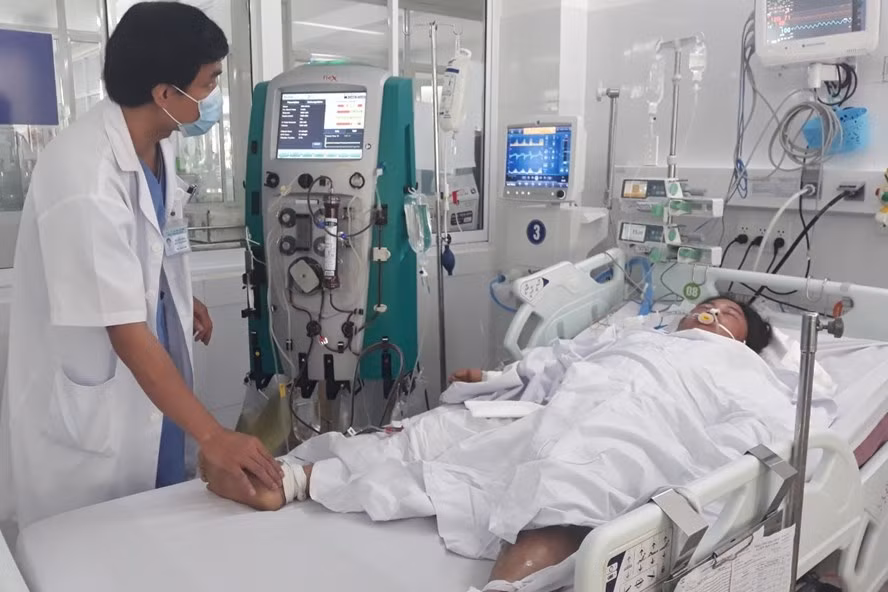 Gia đình 3 người ở Quảng Ngãi bị ngộ độc nấm đã tử vong. Ảnh: BVĐN