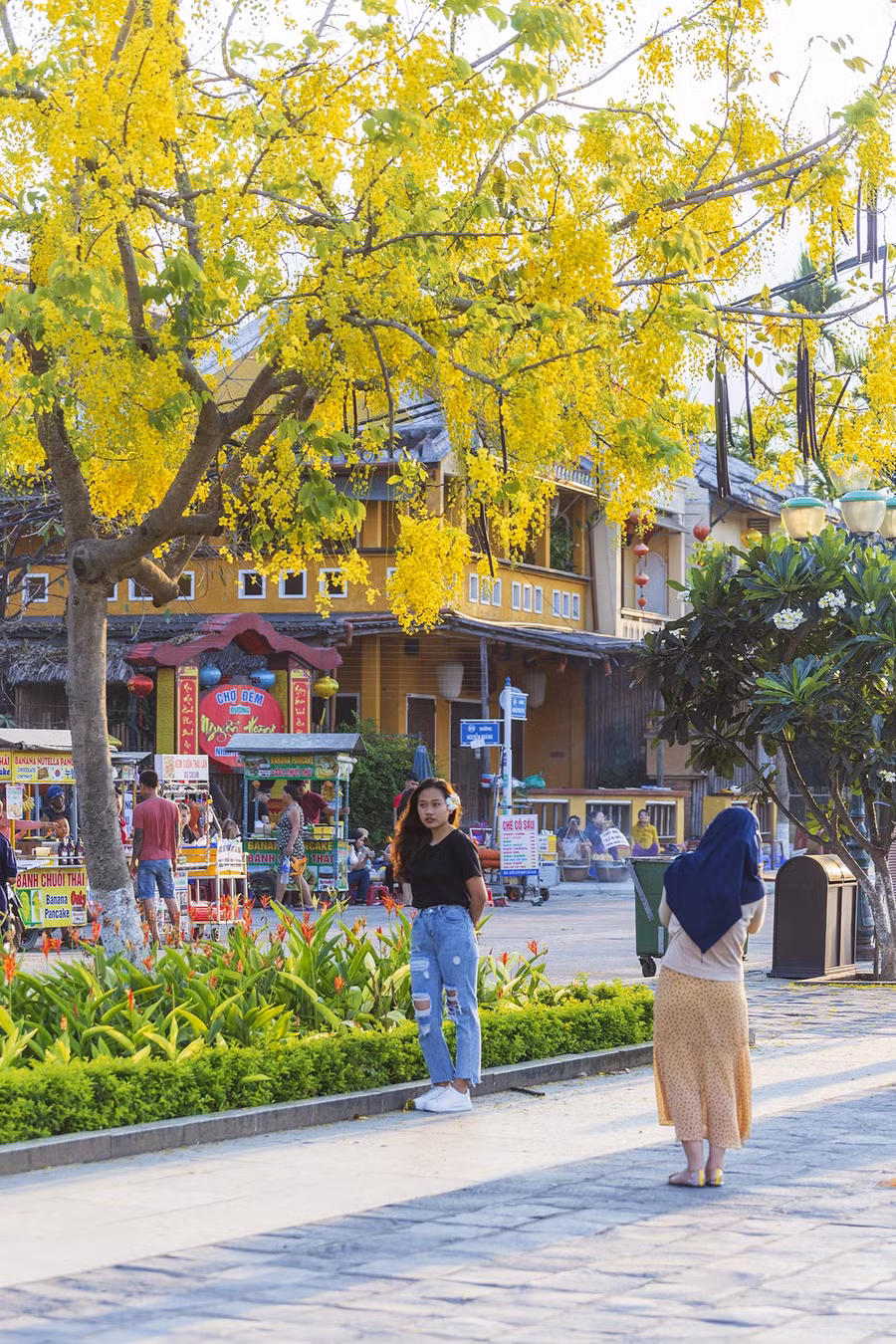 Du khách dừng chân chụp ảnh với hoa hoàng yến
