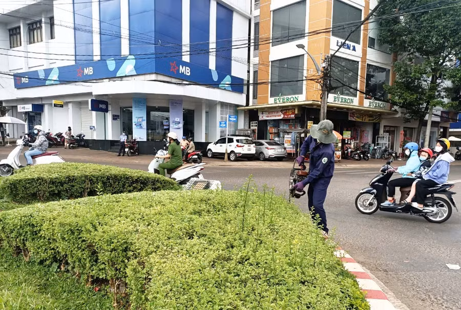Công nhân Công ty cổ phần Công trình đô thị Gia Lai cắt tỉa cây cảnh tại các đảo giao thông. Ảnh: Quang Tấn