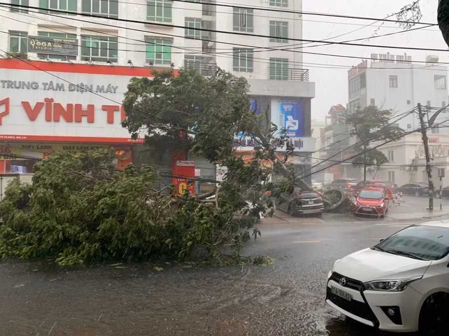 Cây xanh trên đường Hoàng Văn Thụ, đoạn trước Trung tâm Điện máy Vĩnh Tín bị ngã đổ trong trận mưa lớn kèm theo gió mạnh vào tháng 8-2021. Ảnh: Hồng Thương