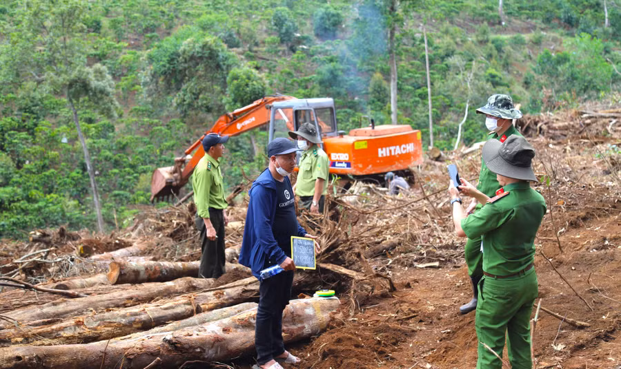 Cơ quan chức năng đưa đối tượng Nguyễn Doãn Trung đến tiểu khu 613, xã Lộc Phú, huyện Bảo Lâm, tỉnh Lâm Đồng để thực nghiệm hiện trường một vụ phá hơn 1ha rừng. Ảnh: CTV