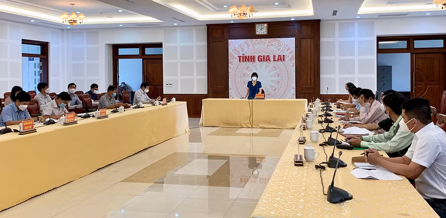 Phó Chủ tịch UBND tỉnh Nguyễn Thị Thanh Lịch phát biểu chỉ đạo tại hội nghị. Ảnh: Như Nguyện