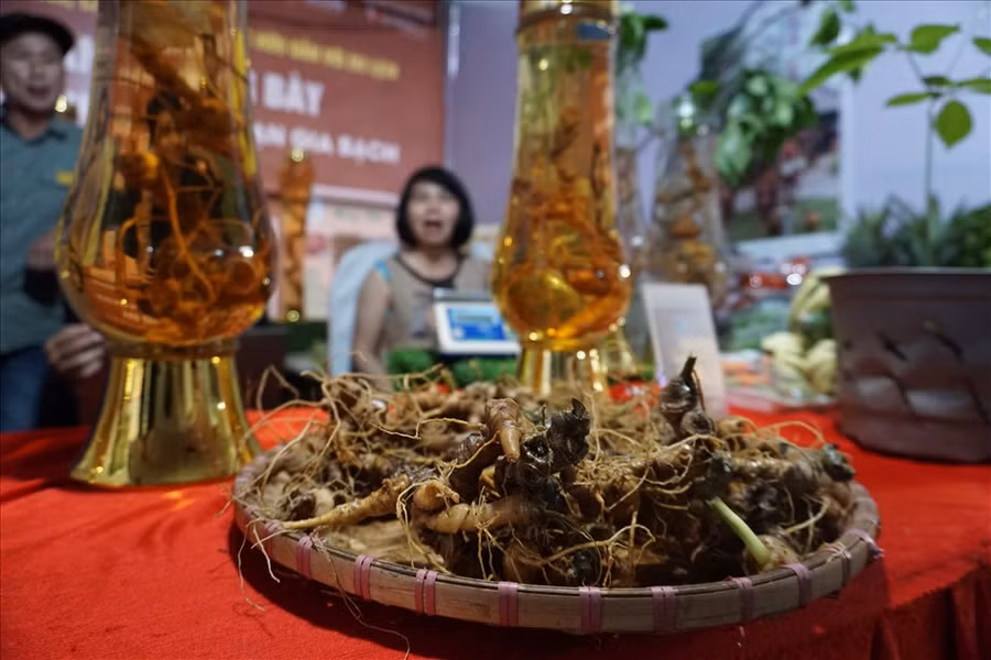 Nhiều sản vật thiên nhiên từ đỉnh Ngọc Linh, huyện Tu Mơ Rông. Ảnh: T.T Nhiều sản vật thiên nhiên từ đỉnh Ngọc Linh, huyện Tu Mơ Rông. Ảnh: T.T