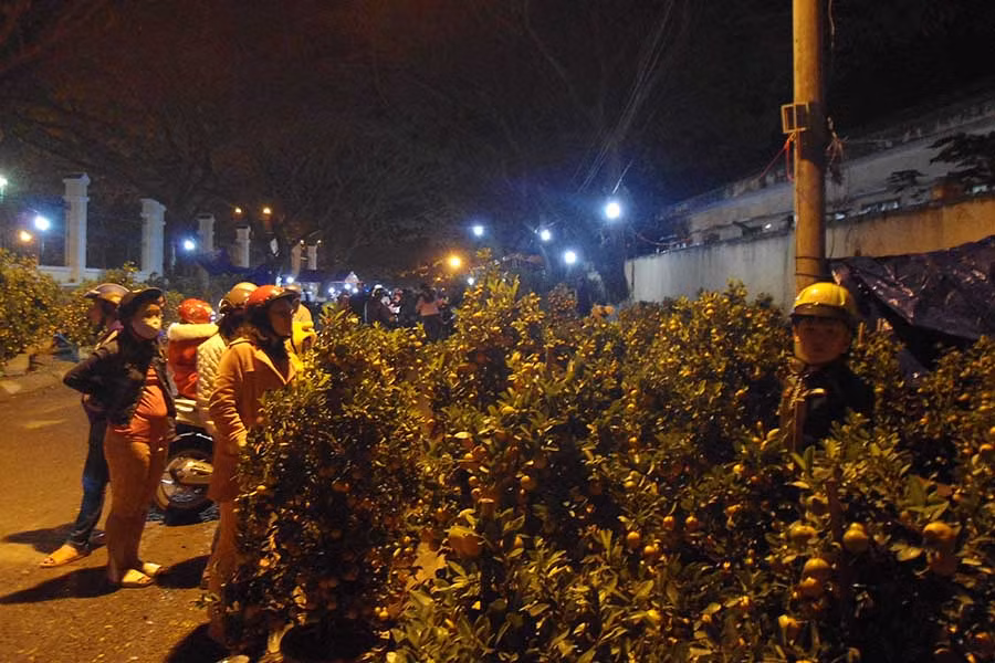  Đến tối ngày 14-2 (tức 29 tháng Cháp) lượng bông, quất tại chợi Xuân Mậu Tuất (thị xã An Khê) còn khá đầy. Ảnh: Ngọc Minh