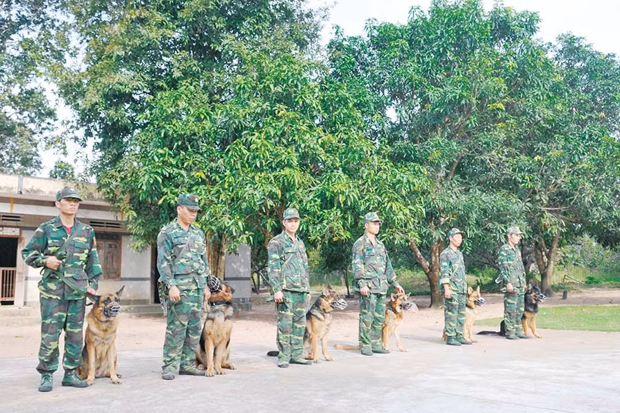 Đội hình trước khi vào bài huấn luyện ở Cụm Cơ động chó nghiệp vụ 3. Ảnh: T.K.N