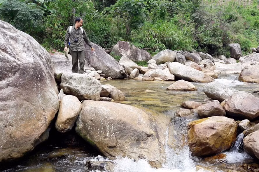 Thượng nguồn suối Chảng Phàng - nơi loài cá đắng sinh sống.