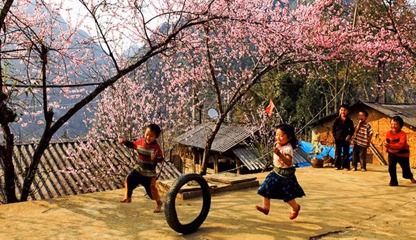 @baohagiang