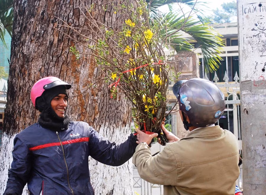 Nhánh mai nhỏ có giá vài trăm ngàn đồng