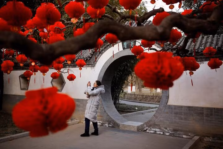 Cô gái này đang chụp cảnh những chiếc đèn lồng trang hoàng trên cây ở Công viên Ditan, Bắc Kinh, Trung Quốc, ngày 11/2.