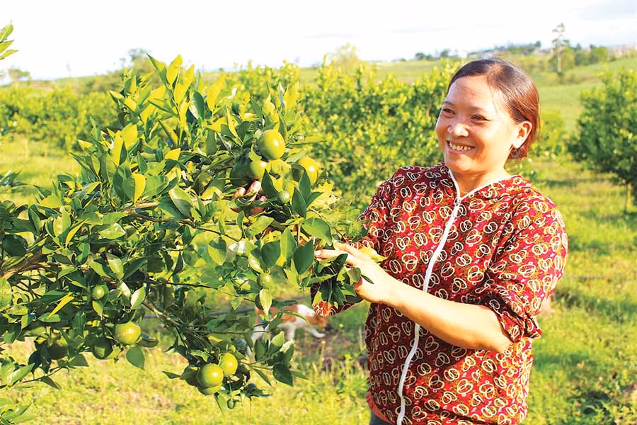  Người dân ngày càng chăm lo phát triển kinh tế, vươn lên làm giàu trên chính mảnh đất của mình. Ảnh: M.T