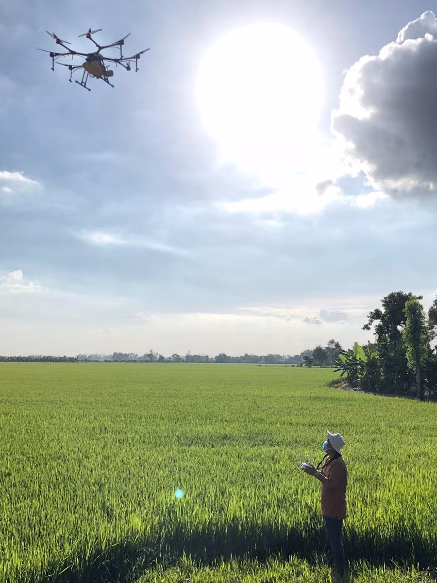 Anh Phát chuẩn bị cho máy bay không người lái phun thuốc nông nghiệp trên ruộng lúa nhà mình