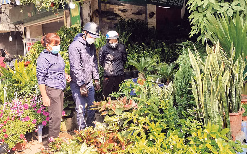 Chợ cây cảnh phố Hoàng Hoa Thám luôn nhộn nhịp khách mua, nhất là trong các phiên chợ hằng tháng. Chợ cây cảnh phố Hoàng Hoa Thám luôn nhộn nhịp khách mua, nhất là trong các phiên chợ hằng tháng.
