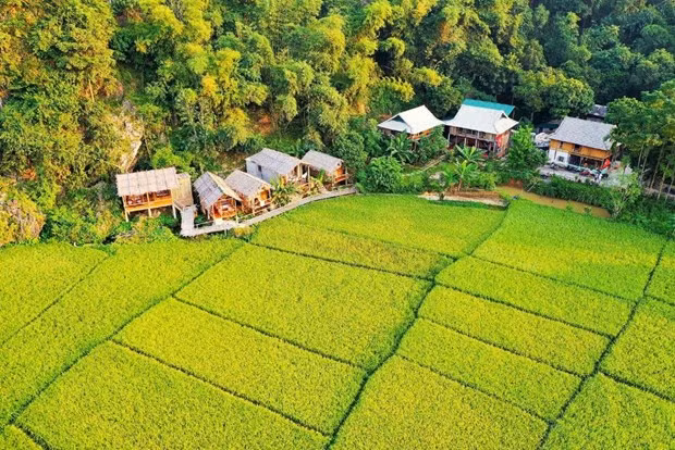 Những cánh đồng mướt xanh ở Mai Châu. Ảnh: CTV/Vietnam+