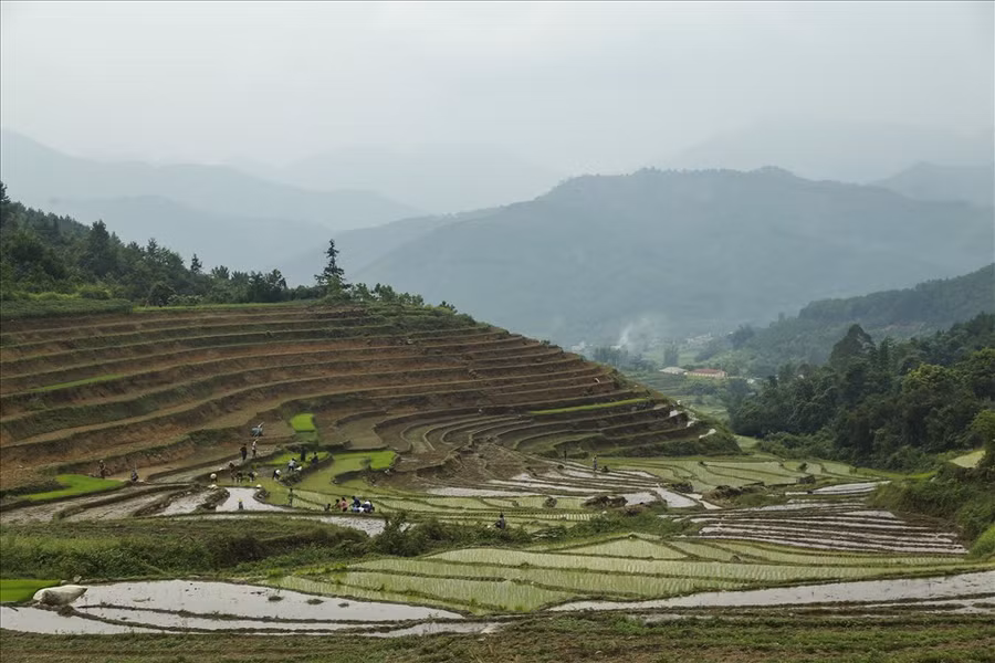 Một khu ruộng bậc thang ở bản Cao Thắng, xã Lục Hồn, huyện Bình Liêu được UBND tỉnh Quảng Ninh công nhận ruộng bậc thang là Di tích - danh thắng cấp tỉnh. Một khu ruộng bậc thang ở bản Cao Thắng, xã Lục Hồn, huyện Bình Liêu được UBND tỉnh Quảng Ninh công nhận ruộng bậc thang là Di tích - danh thắng cấp tỉnh.