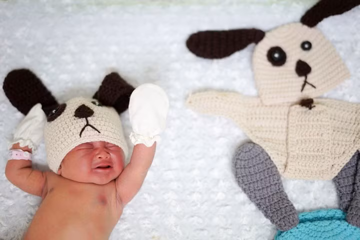  Quan niệm phương Đông cho rằng, mặc đồ theo biểu tượng của năm sẽ mang lại nhiều may mắn.