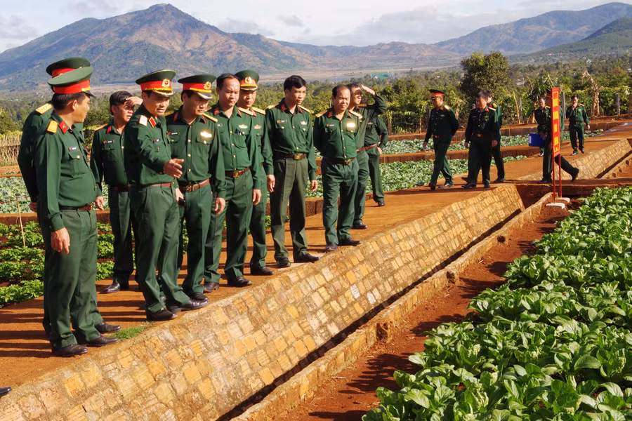 Các đại biểu tham quan vườn rau tăng gia tập trung tại Trung đoàn BBCG 48, Sư đoàn 320. Ảnh: V.D.H