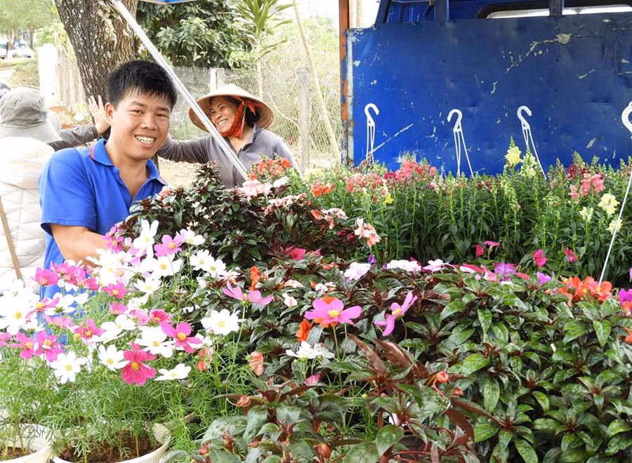 Các loại hoa treo nhỏ gọn có đang được nhiều người chọn dùng. 