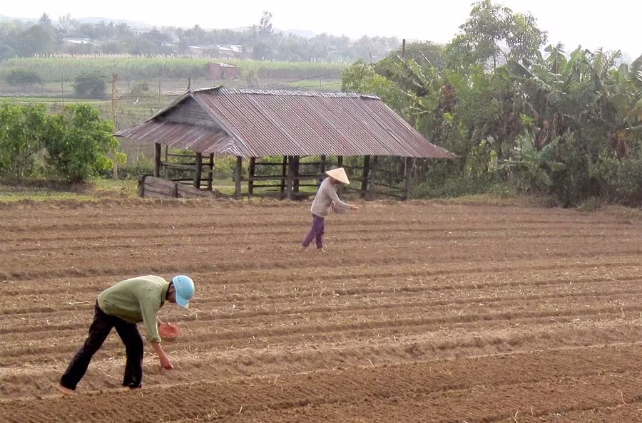 Nhờ mô hình “Địa chỉ tin cậy”, nhiều hội viên phụ nữ đã giữ vững tổ ấm, yên tâm phát triển kinh tế gia đình. Ảnh: Hồng Thi Nhờ mô hình “Địa chỉ tin cậy”, nhiều hội viên phụ nữ đã giữ vững tổ ấm, yên tâm phát triển kinh tế gia đình. Ảnh: Hồng Thi