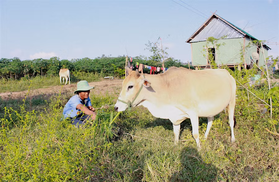 Cuộc vận động “Làm thay đổi nếp nghĩ, cách làm trong đồng bào dân tộc thiểu số” đã giúp nhiều người vươn lên thoát nghèo. Ảnh: Hồng Thi