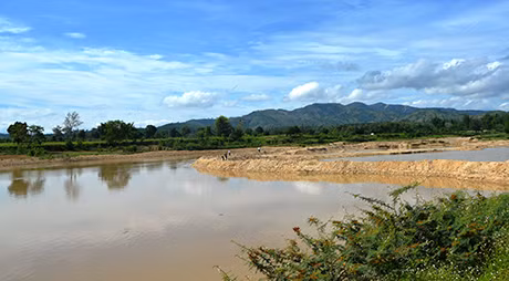 Ảnh minh họa