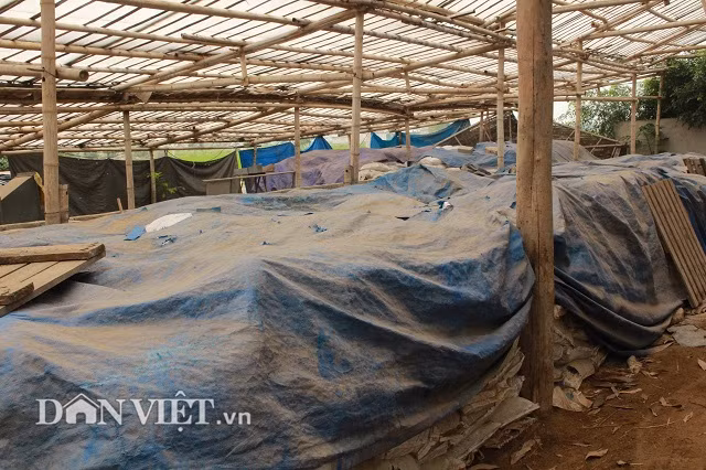 Ông Căn cho biết, việc tự ủ phân vi sinh hữu cơ từ các nguyên liệu có sẵn là vô dùng đơn giản và dễ thực hiện. Sau khi ủ xong, bà con nên che đậy đống ủ bằng bạt hoặc nilong.