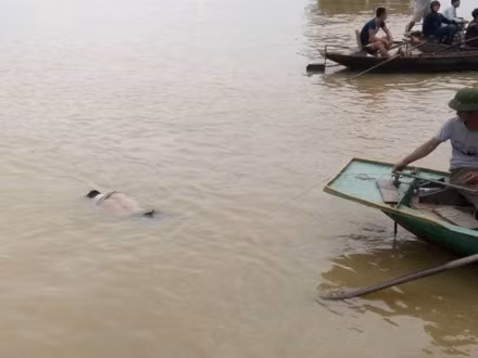 Thi thể nam nạn nhân được tìm thấy.