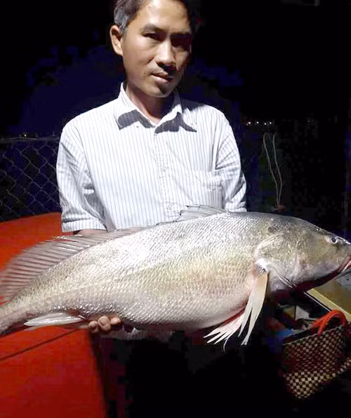 Ông Ngô Minh Lợi và con cá lạ. Ông Ngô Minh Lợi và con cá lạ.