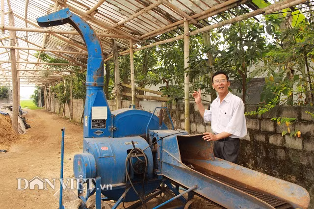 Ông Căn đầu tư máy nghiền nhỏ nguyên liệu để dễ dàng ủ phân. Theo ông Căn, nguyên liệu có kích thước lớn hơn 20 cm thì cần chặt ngắn khoảng 1 gang tay.