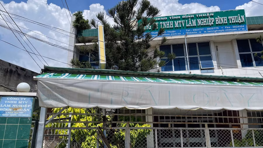 Công ty TNHH MTV lâm nghiệp Bình Thuận. Ảnh: H.L