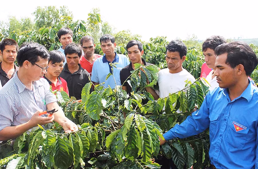  Tập huấn chuyển giao khoa học kỹ thuật tại nhóm chung sở thích xã Trang. Ảnh: Nguyễn Diệp