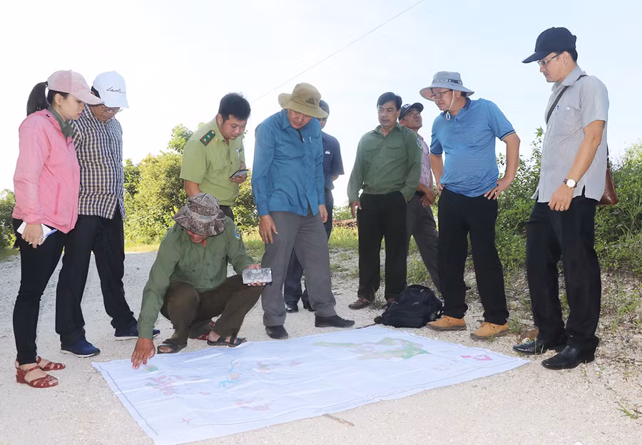  Đoàn giám sát HĐND tỉnh kiểm tra thực tế hiện trạng rừng tại tiểu khu 608 và 637 thuộc Ban Quản lý rừng phòng hộ Bắc An Khê quản lý. Ảnh: Ngọc Minh