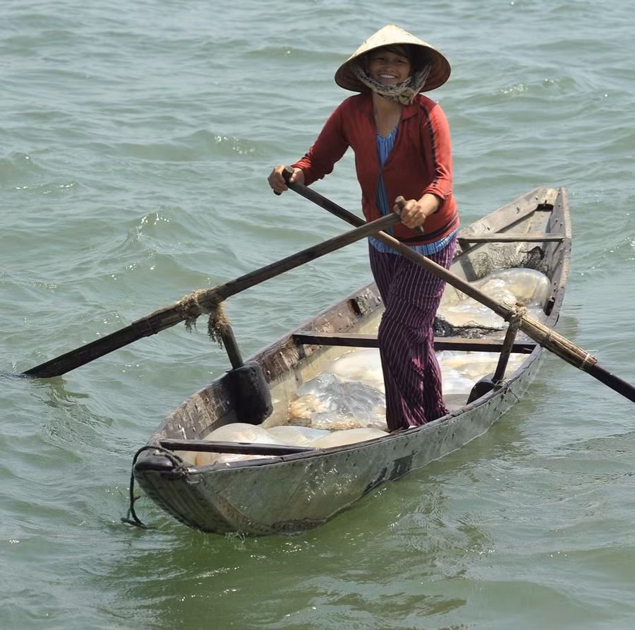 Nụ cười tươi của ngư dân phá Tam Giang với chiếc ghe đầy sứa