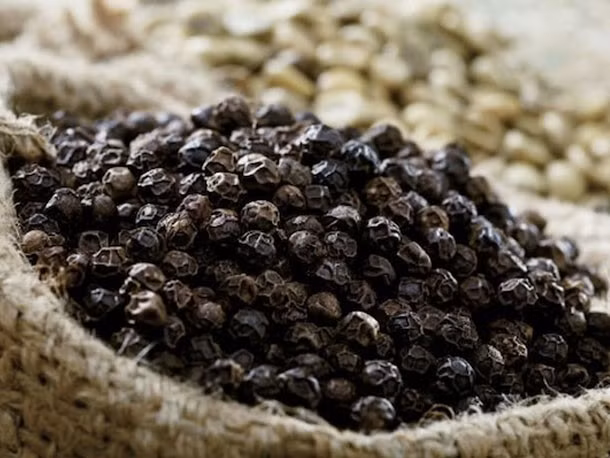Gia Lai: Giá tiêu giảm giảm 500 đồng/kg