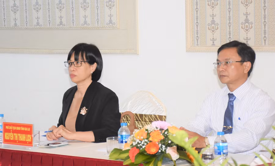 Phó Chủ tịch UBND tỉnh Nguyễn Thị Thanh Lịch dự hội nghị. Ảnh: Trần Dung