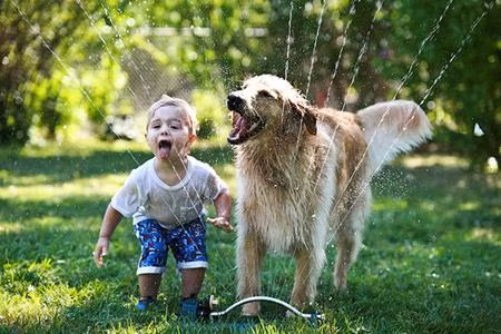 Vòi phun nước trở nên thật thú vị