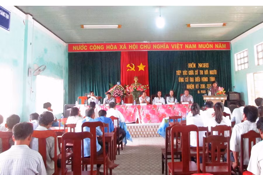 Ảnh: Hồng thương