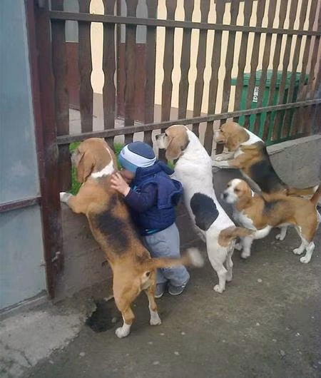 Tò mò chuyện nhà hàng xóm