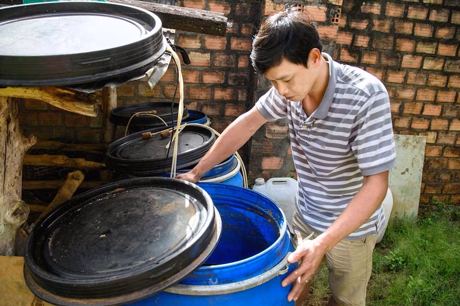 Anh Lâm đang kiểm tra những thùng phuy ủ thuốc trừ sâu và phân bón sinh học. Ảnh: Nguyễn Linh Vinh Quốc Anh Lâm đang kiểm tra những thùng phuy ủ thuốc trừ sâu và phân bón sinh học. Ảnh: H.D