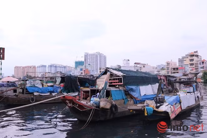 Những chiếc nghe neo đậu dọc dòng sông Tẻ trở thành một hình ảnh quen thuộc với những dân sống ở khu vực Sông Tẻ.