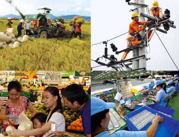Tổng điều tra kinh tế năm 2017 sẽ được thực hiện trên phạm vi cả nước từ ngày 1-3-2017.