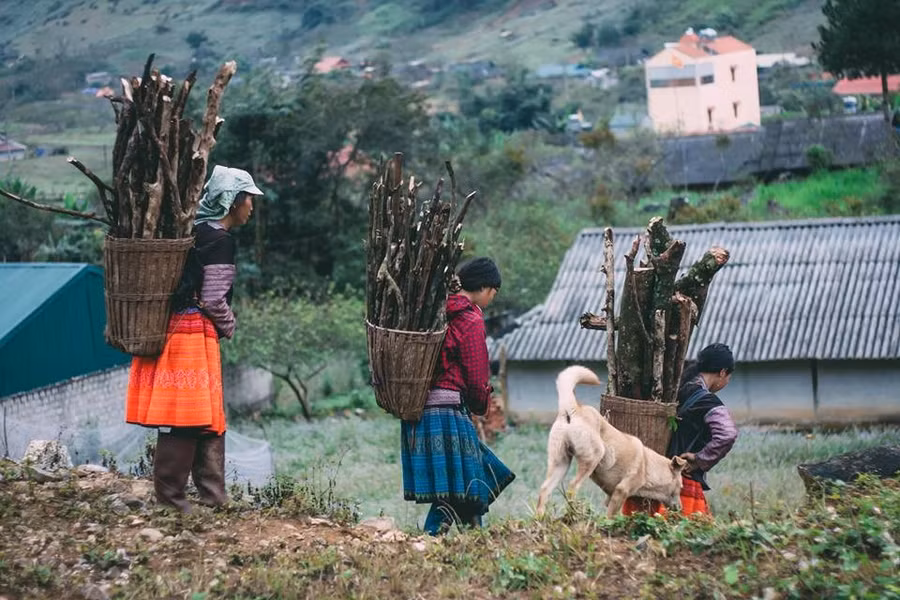 Lên Mộc Châu, ngoài cảnh đẹp, bạn còn có thể khám phá cuộc sống của những người dân tộc Mông, Thái... 6
