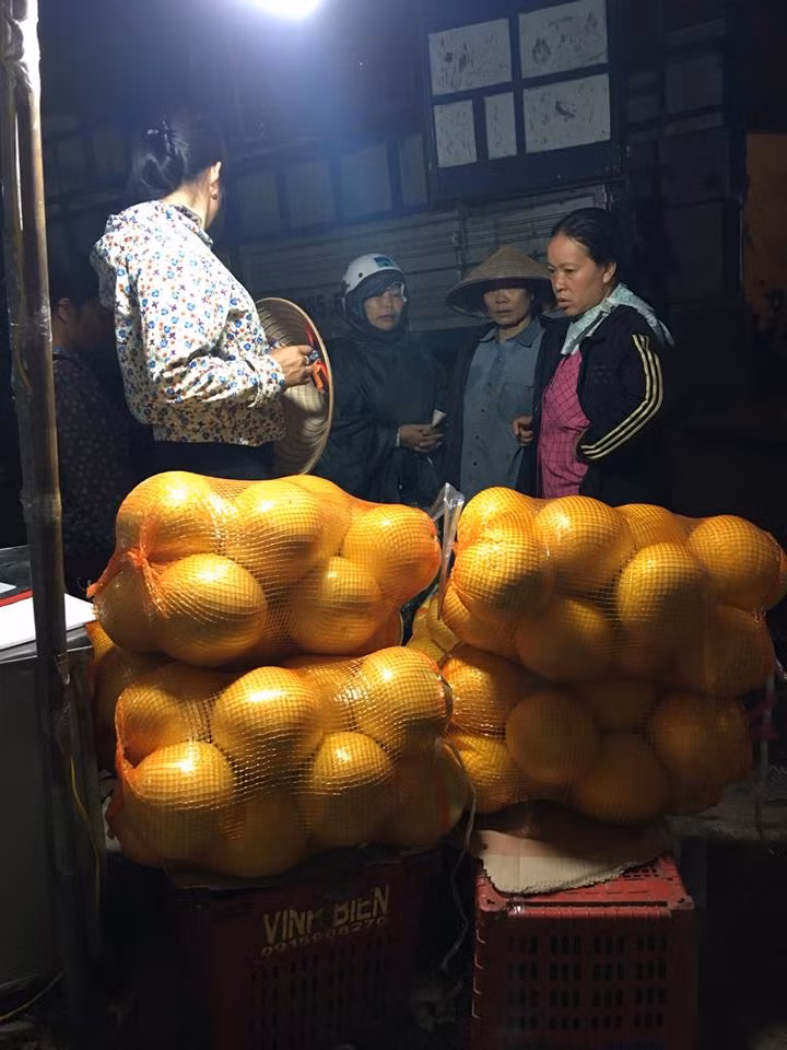 Loại bưởi vàng bóng của Trung Quốc xuất hiện tràn chợ đầu mối Long Biên.