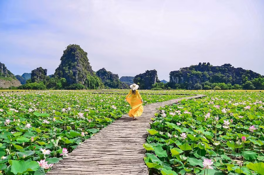 Con đường tuy tạo tác đơn giản trải dài theo hình trái tim giữa hồ sen nhưng vô cùng duyên dáng
