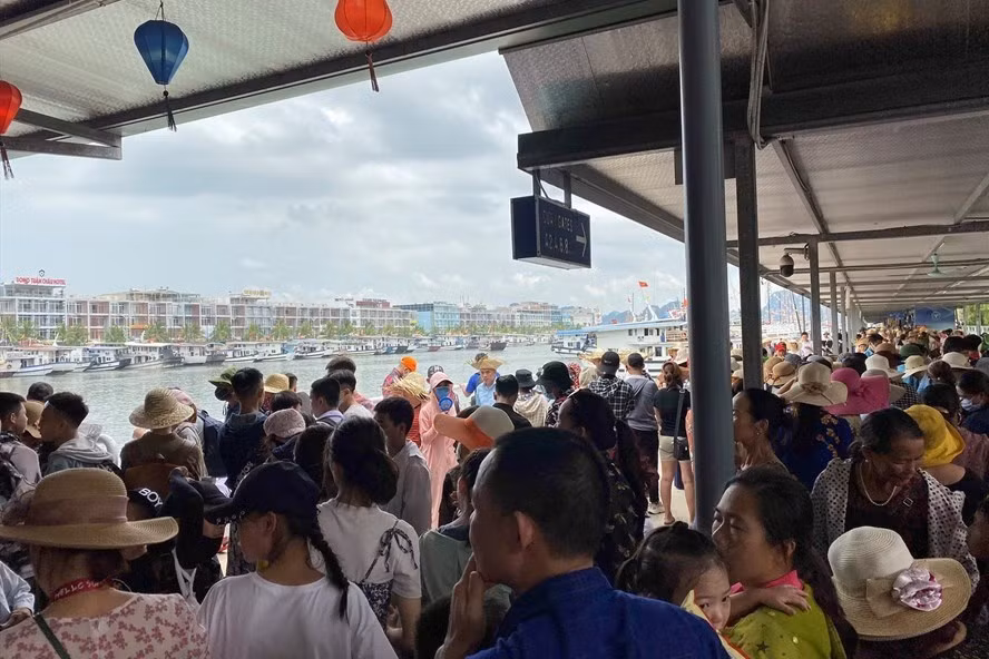 Du khách đợi tàu đi tham quan vịnh Hạ Long tại Cảng tàu Tuần Châu. Ảnh: Nguyễn Hùng Du khách đợi tàu đi tham quan vịnh Hạ Long tại Cảng tàu Tuần Châu. Ảnh: Nguyễn Hùng